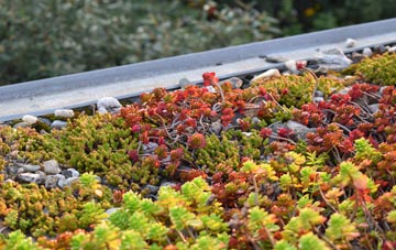 the cost of Cwm Gelli green roof installation