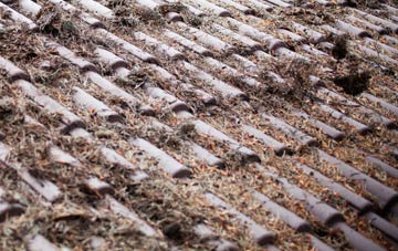 Cwm Gelli roof cleaning companies